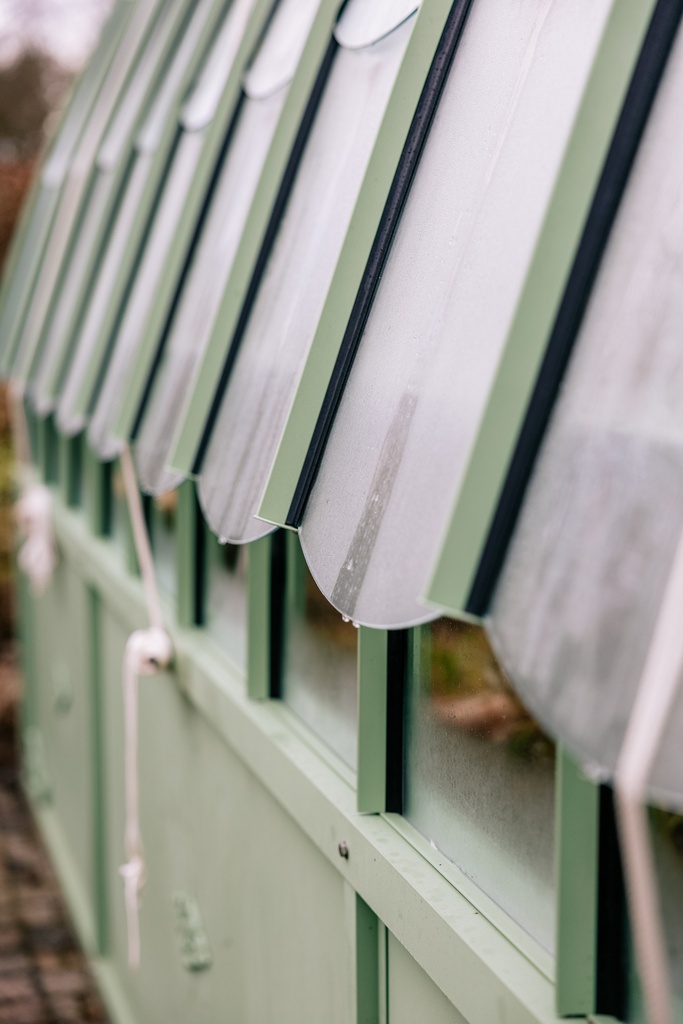 Eugénie Victoriaans