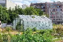 Gewächshaus S208 Aluline – Projekt & Konstruktion