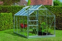 Introgrow Ivy