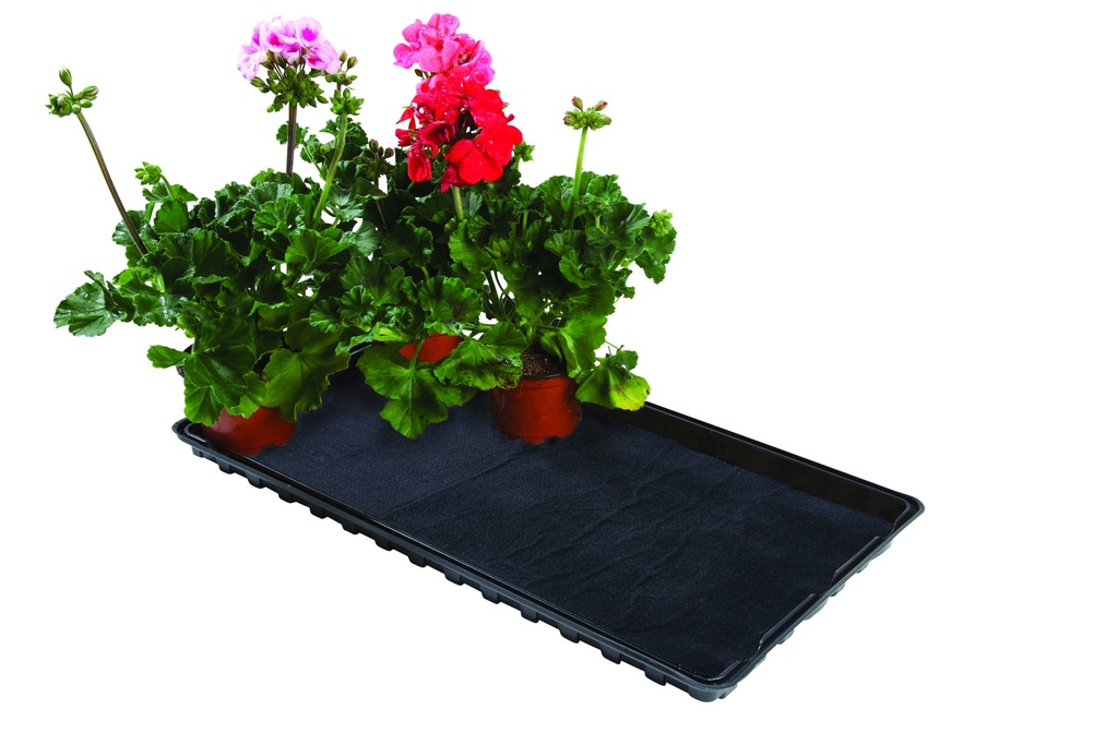 Watering tray 56 x 31 x 3cm
