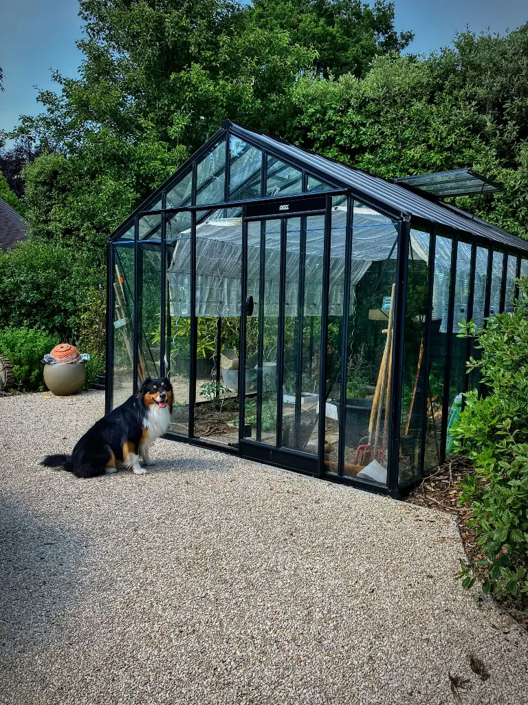 Garten- & Wohnzimmer Victorienne 306