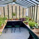 Joséphine victorian