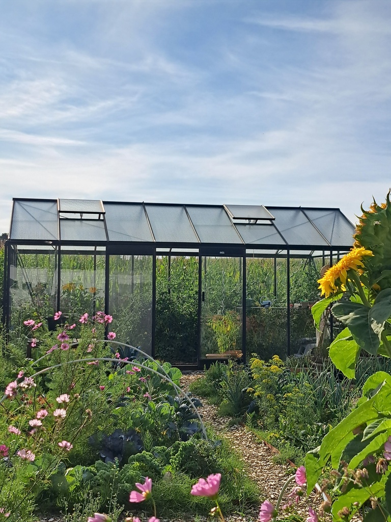 R308XH - RAL9005 - Deals