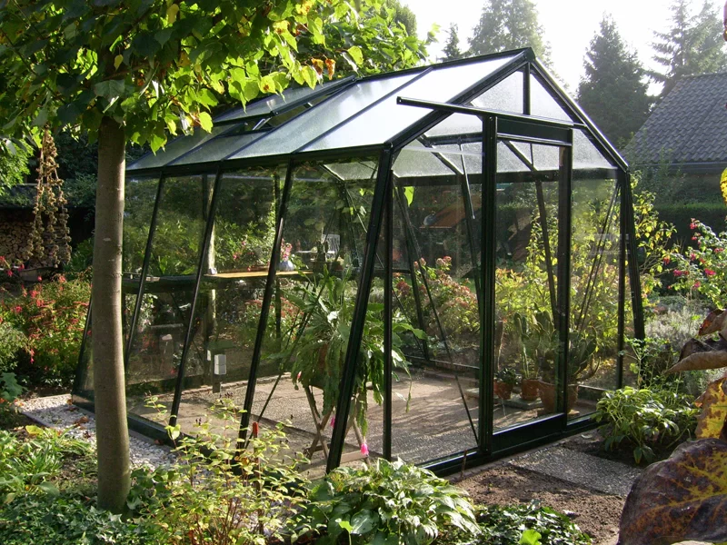 Gewächshaus S104 Black