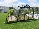 Gewächshaus S106 Black
