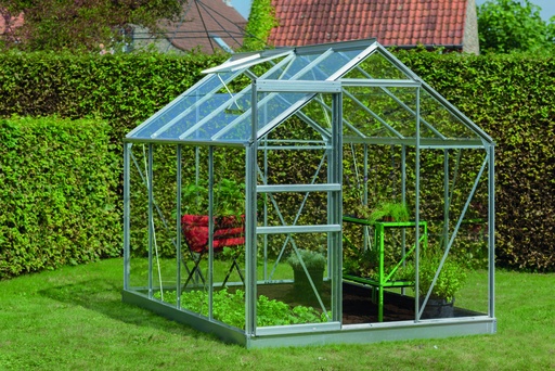 Introgrow Ivy