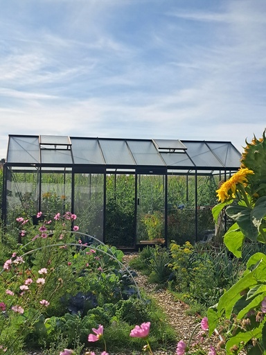 R308XH - RAL9005 - Deals