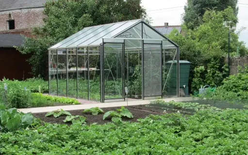 Gewächshaus R305 Alu