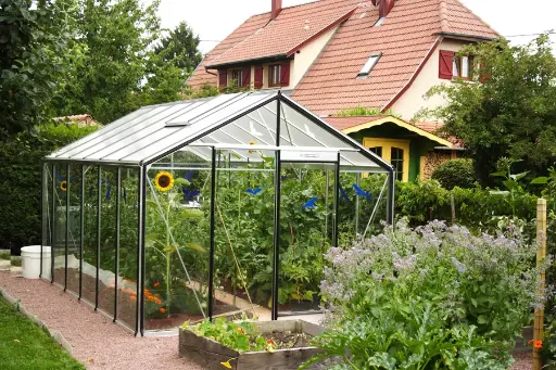Gewächshaus R306 Alu