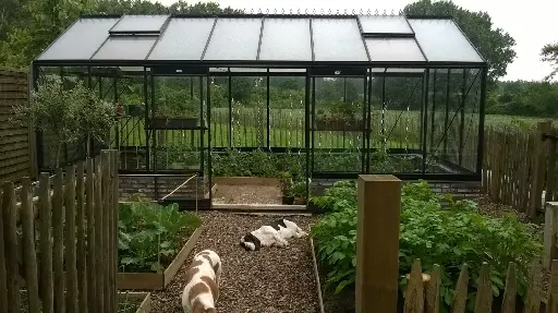 Gewächshaus R308 Black